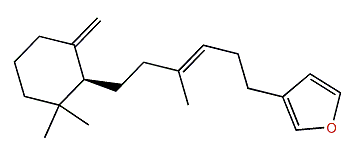 Dehydroambliol A